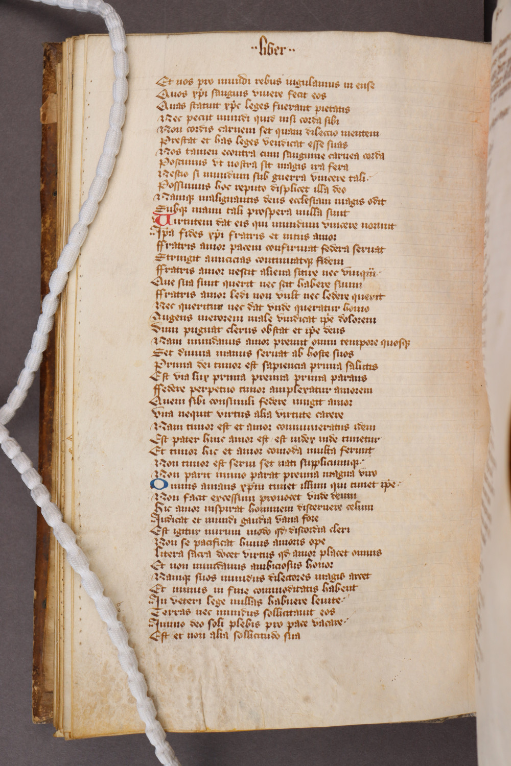 Folio 41 verso